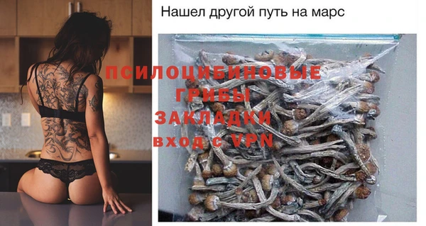 спайс Богородск