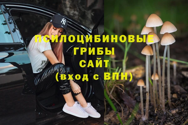 таблы Богданович