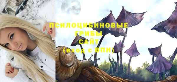 спиды Бугульма